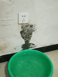 |搞笑GIF段子:妹子,你这下楼方式,很新颖呀,屁股不疼么