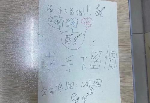 满满求生欲：家长会前小学生写求饶信当桌签