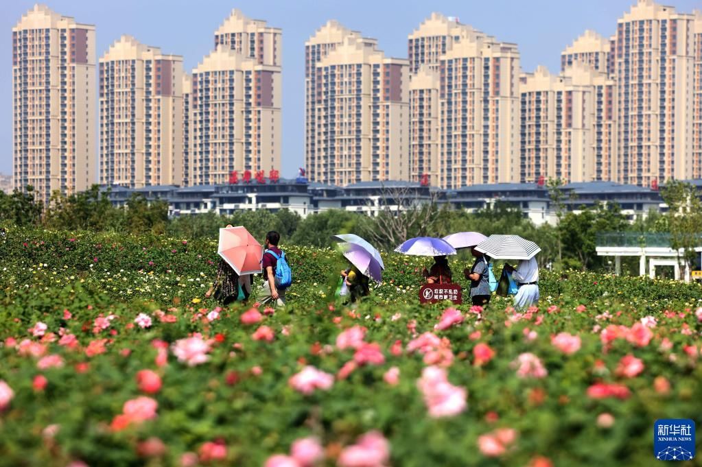 走到户外 乐享假期