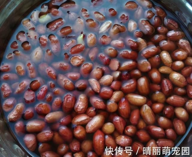 酥脆|花生米不用炒,用盐水泡一泡,比炒得好吃,鲜香酥脆,越吃越过瘾