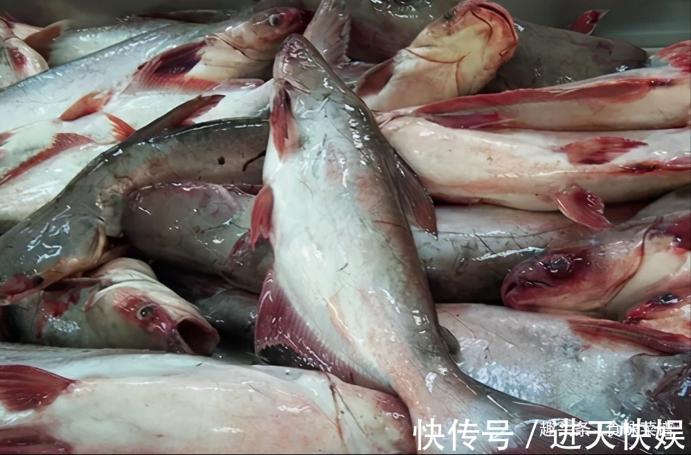 鲜嫩|肉多刺少的“龙利鱼”，鲜嫩又好吃，超市导购我从不给家人吃