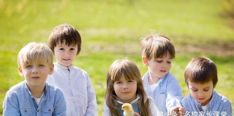 同伴|社交能力强的孩子,能更好的适应环境,父母要记住几点!