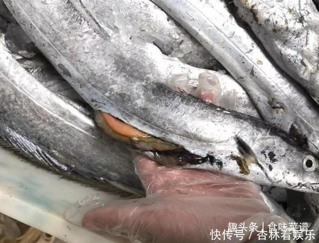 脊椎骨|带鱼里吃出一节骨头，像牙齿一样，摸起来硬硬的，你知道原因吗