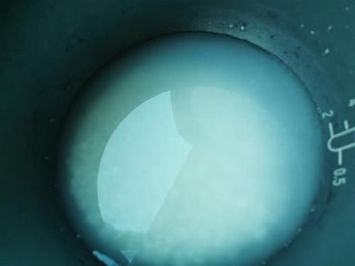 吃得下|假如饿了好几天,让你吃这个吃一星期,能吃得下去吗我觉得可以