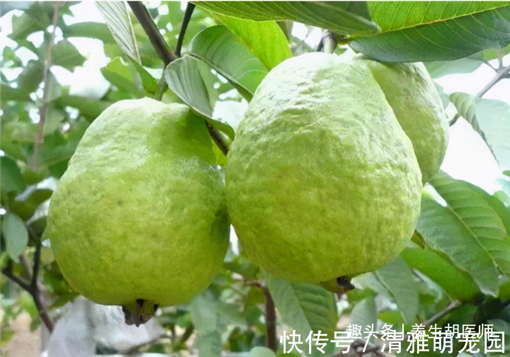 延缓衰老|每天晚上坚持吃三种食物，排毒养颜，延缓衰老，早吃早好！