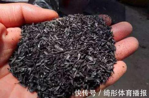 用啥水浇花长得快、开花多、虫害少?3个妙招,省时省钱又省力