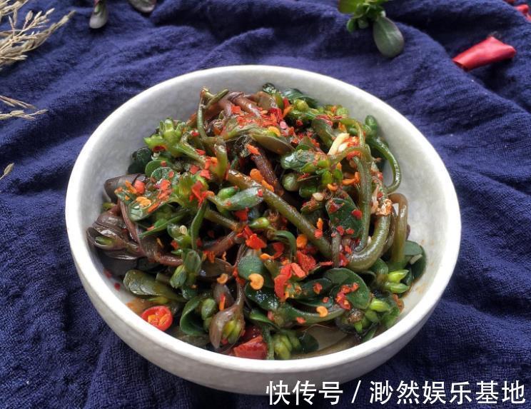 野草|天然胰岛素被找到,隔几天吃一次,降血糖血脂,可惜很多人当野草