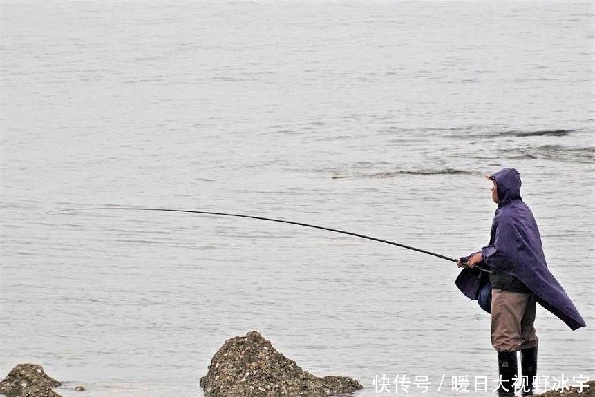 翻倍|怎样才能钓到大鱼?通过三方面去守钓,渔获量翻倍