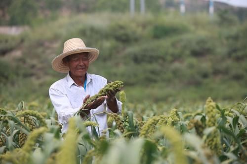长寿|人的寿命究竟有多长？科学家给出了答案，做好3件事，可以更长寿