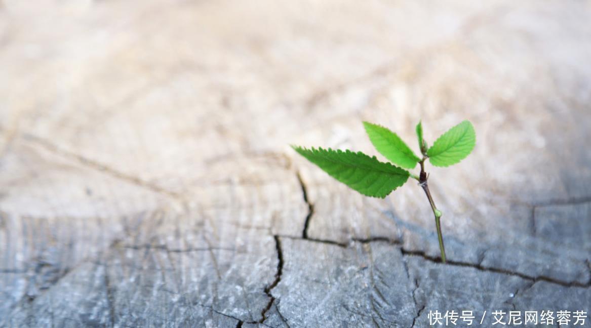 陈子昂&唐朝最孤独的一首诗,只有22个字,千百年来无人超越