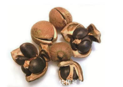 胰岛素|藏在农村的糖尿病“救星”一年只采摘一次,堪称天然“胰岛素”!