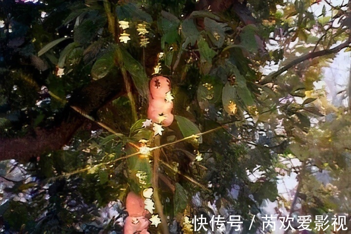 悟空|清风明月吃掉不少人参果，为啥一直无法成仙？土地说出了答案