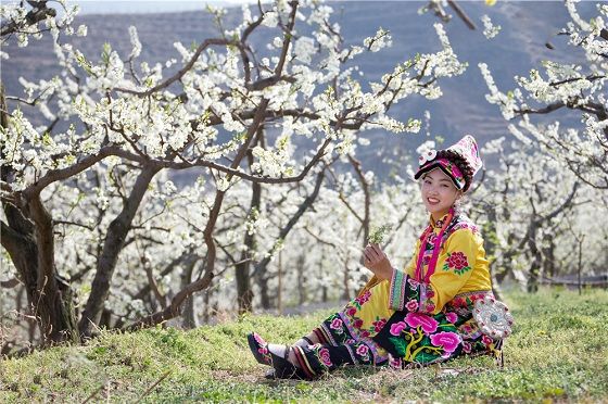 三星堆直播全国关注 媒体走进四川茂县探寻古蜀文明的营盘山印迹