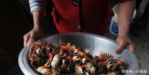 种食物|被南方人称为“天下奇鲜” 北方基本没人吃过!