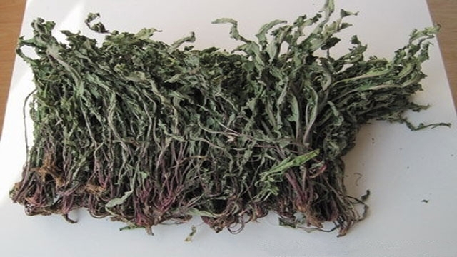 蒲公英|肝病人群，它是“药草皇后”，肝不好每天喝一点，排肝毒、养肝脏