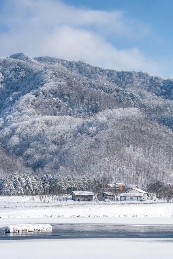 银装素裹|下雪了，银装素裹下的湖北绝美大片