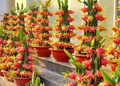 女生|女生“姨妈”期,4种水果要少碰,特别第二种,小心“停经”