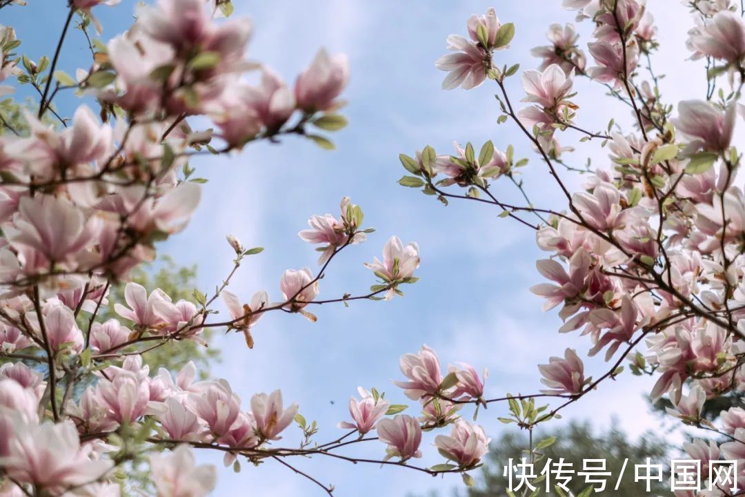 这一生&夜读 | 人这一辈子，最不能透支的是什么？