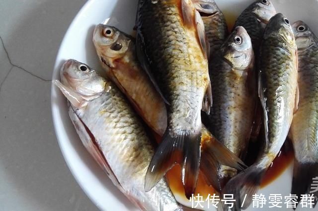 好吃|营养比甲鱼高，只能是它，红烧煲汤都好吃，5块一斤却无人问津