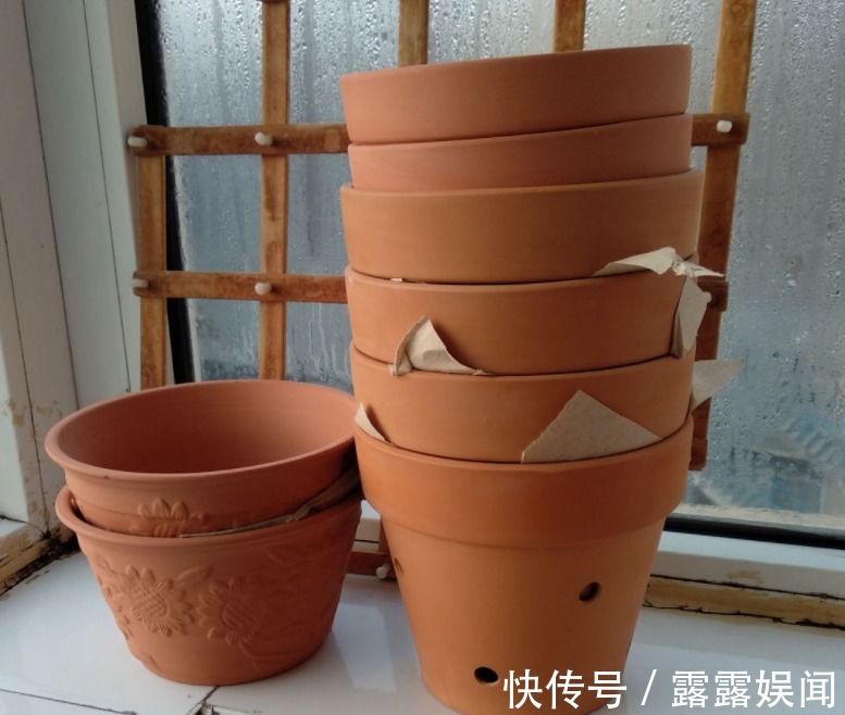 花盆别乱用,用对了花儿蹭蹭长,用错了花死得快!
