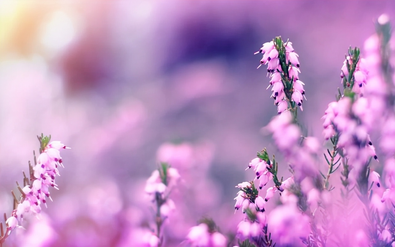 闭口禅!能在这几种特殊情况下保持沉默的人,往往层次很高,很不简单