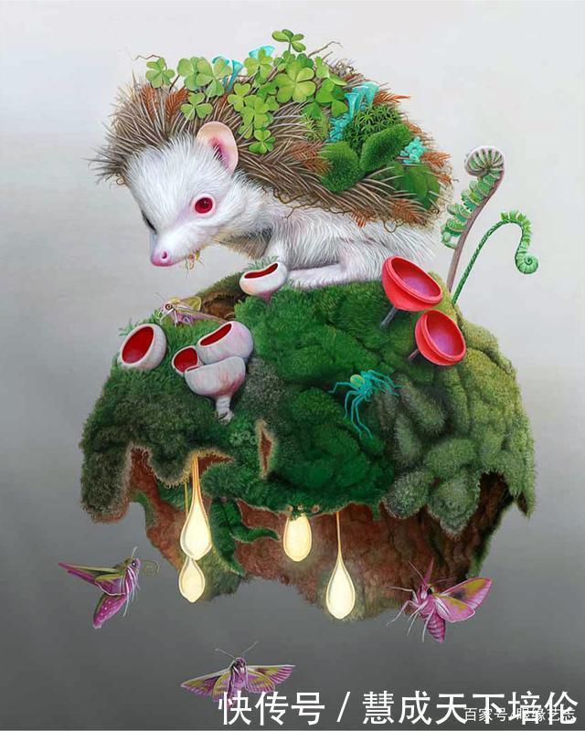 感恩|博齐奇的自然幻境异想天开的科学艺术,感恩生命的生物美学