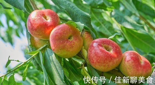 康普|女人过了30岁,坚持吃的食物,排毒润肠,养护肌肤,谁吃谁年轻