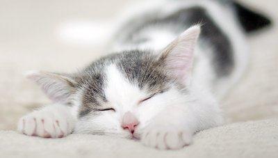 |幽默笑话:上大学的时候认识了现在的女朋友,没几天就在一起了