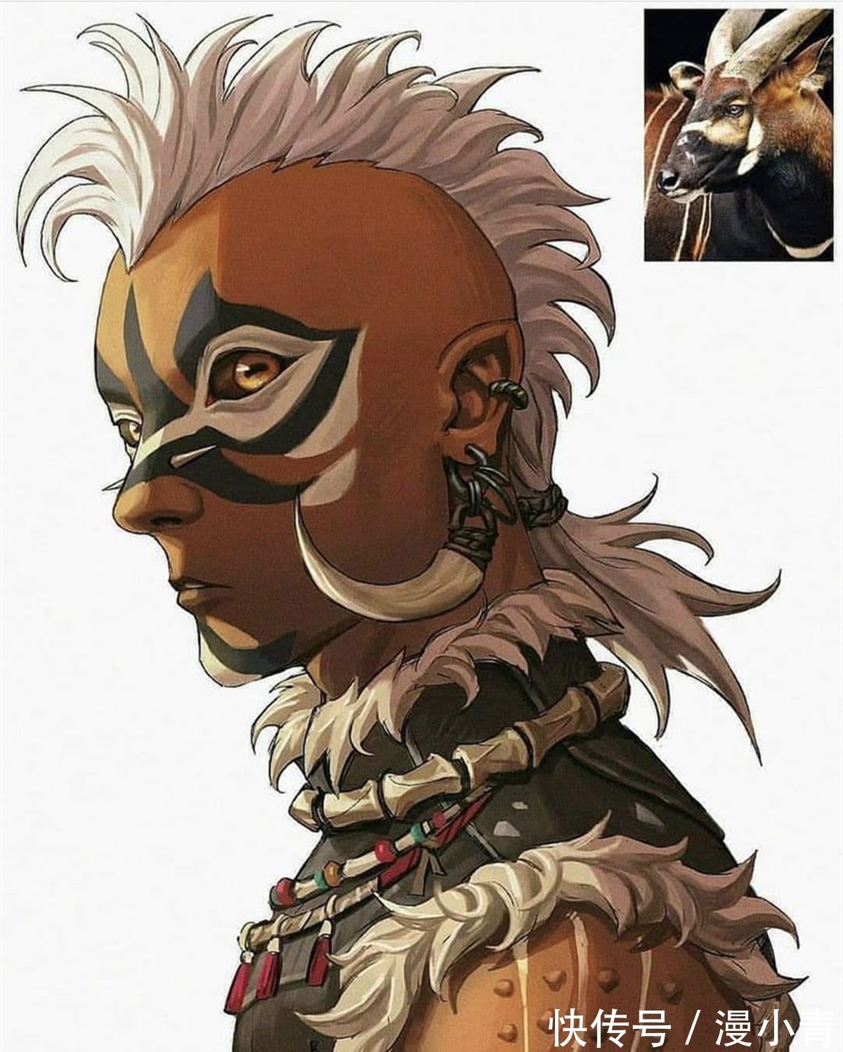 空想象|动物二次元化之后也有高颜值代表,就看画师的心情怎么样了