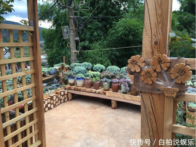 女婿在楼顶养多肉,村里人都跑来参观,丈母娘高兴坏了!