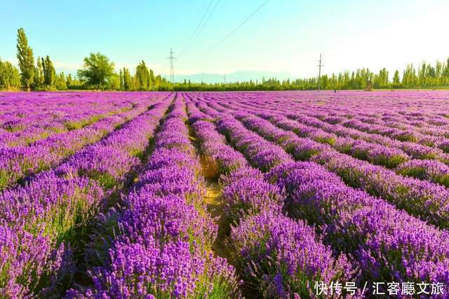 老年|如果一生只去一次新疆,这些地方你一定要知道