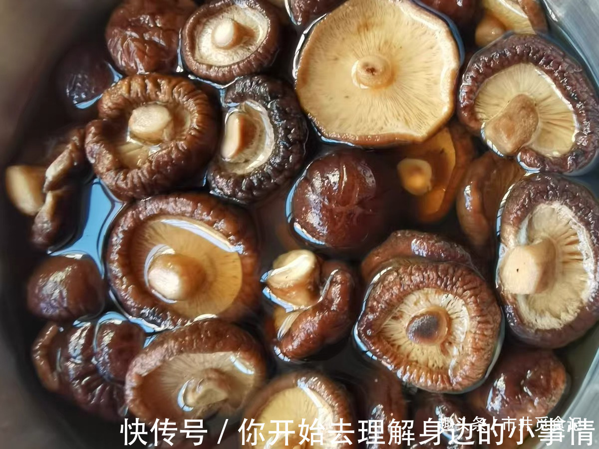 营养|8种“坐月子”要常吃的食材,营养全恢复快,家里有产妇要收藏