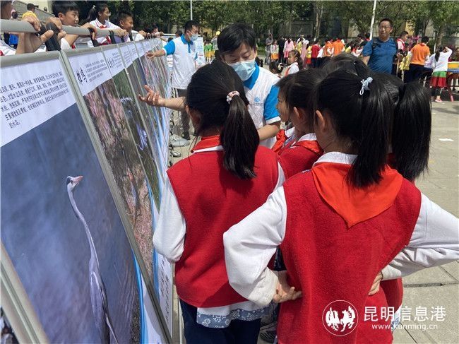 昆明信息港讯|滇池流域生物多样性科普进师大附小樱花语校区