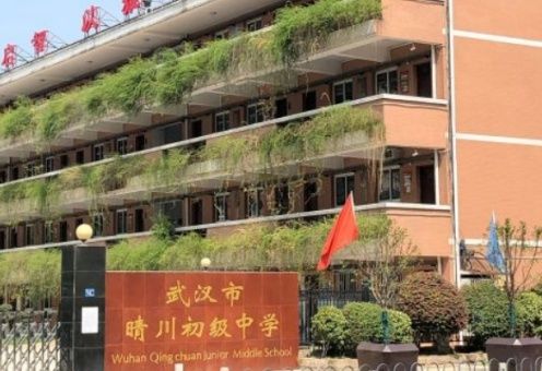 学校|民办摇不上能否回公办对口？武汉有这些优质公办初中