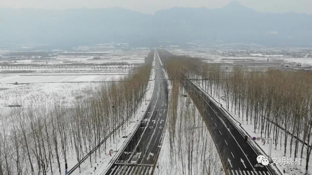 缪斯|瑞雪迎春杏花俏 人勤春早永争先