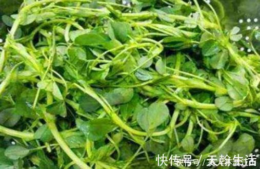 身体|想长寿要先会吃，3种食物不能少，补充营养，身体棒棒哒