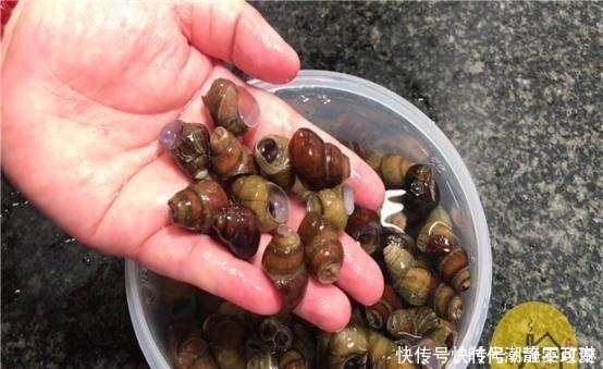 螺丝|才发现,菜刀上圆孔有个厉害用法,现在知道还不晚,太多人收藏了