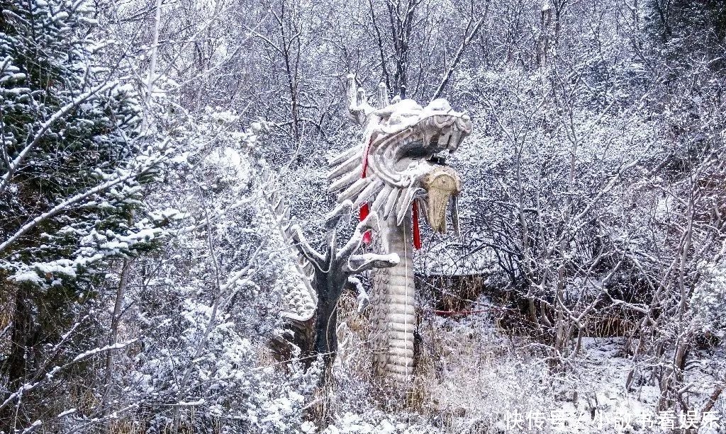 美如画|冬日崇信，动人雪景美如画