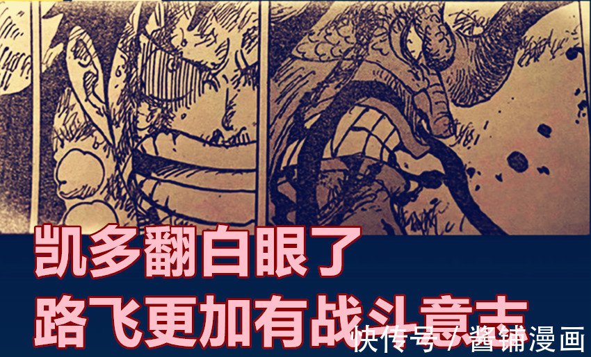果实|海贼王,尾田暗示象主是传说级果实,五老星或要灭掉德雷克