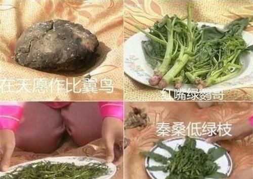 照搬|李白写了一首情诗,因全文太肉麻,紫薇只敢照搬两句,却流传至今