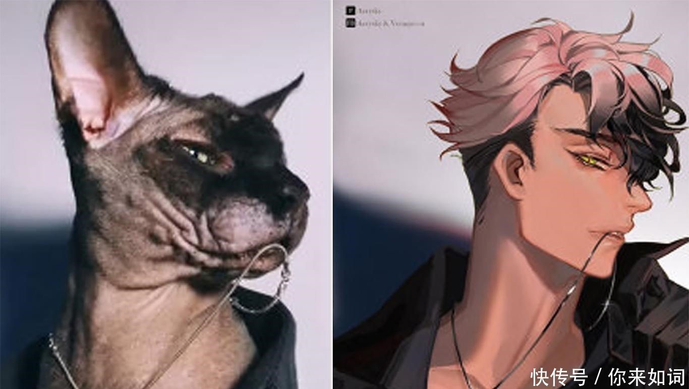 画师们|当动物被画师二次元化，可盐可甜可帅气，还是纸片人更让人心动