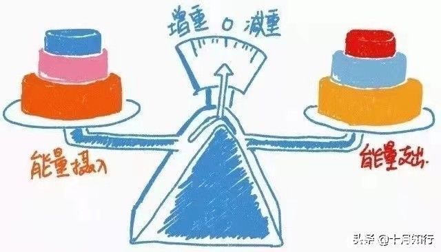 节食|不是控制饮食就能变瘦吗，可为什么明明吃得很少，却瘦不下来呢