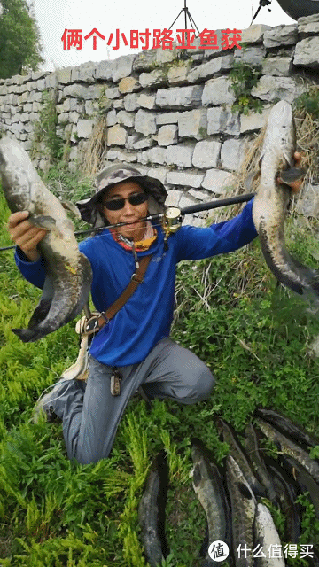 博主|山东一水库黑鱼“成灾”，老板请人帮忙钓鱼，有人2小时连钓17条