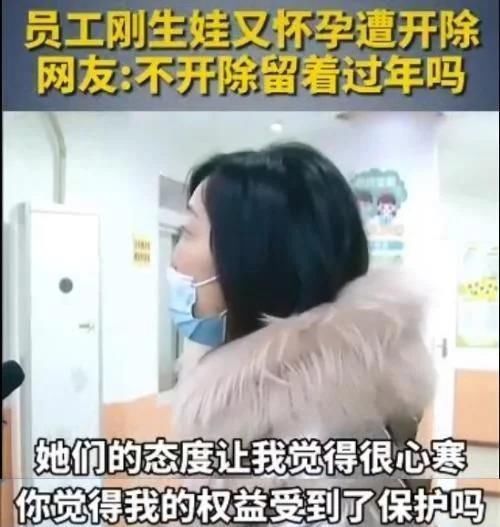 宝妈|老师刚怀孕就被开除,了解其中原因后,网友们却纷纷表示“活该”