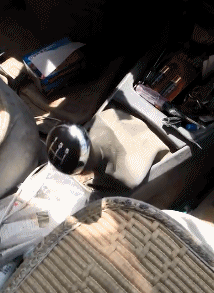 |搞笑趣图:为了给闺蜜拍个照,妹子也是够拼了