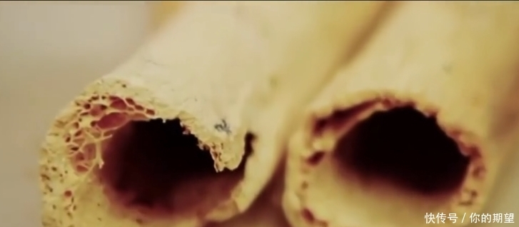 专家|英国墓葬群出土十几具尸骨,专家:终于知道欧洲人为何如此强壮了