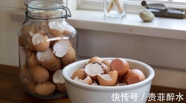 买肥料不如自制,牢记这几招,养花才不会再出问题