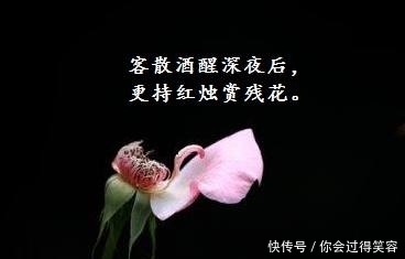 李商隐描写落花的两首诗,演绎生活精彩,满溢人间真情