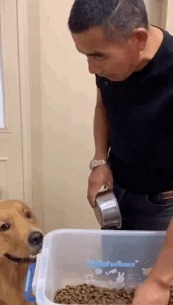 |搞笑GIF趣图你们是不是都喜欢胖胖的女朋友。