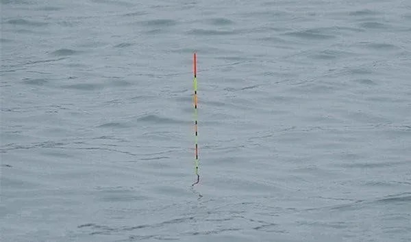 垂钓|钓鱼：垂钓大师教你精准找底，调漂本来就很简单！